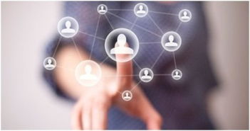 致互联网人 深入解析网络技术开发职位架构与职能要求